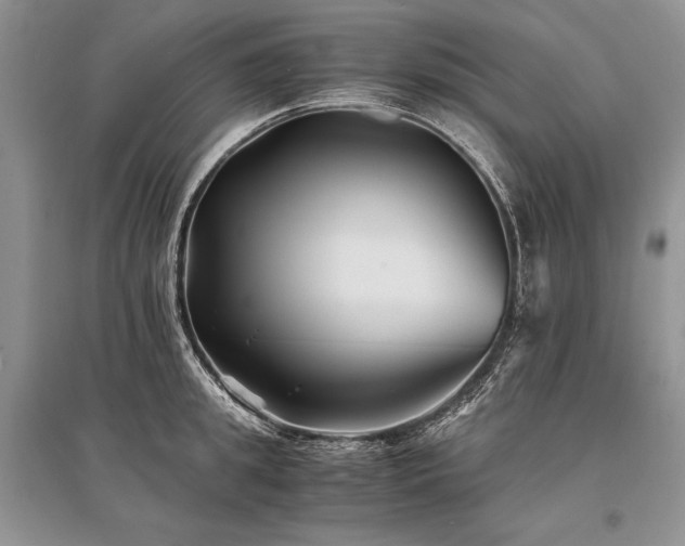 X0000096380949200801241234