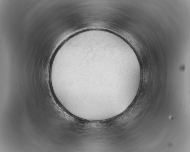 X0000096380950200801241234