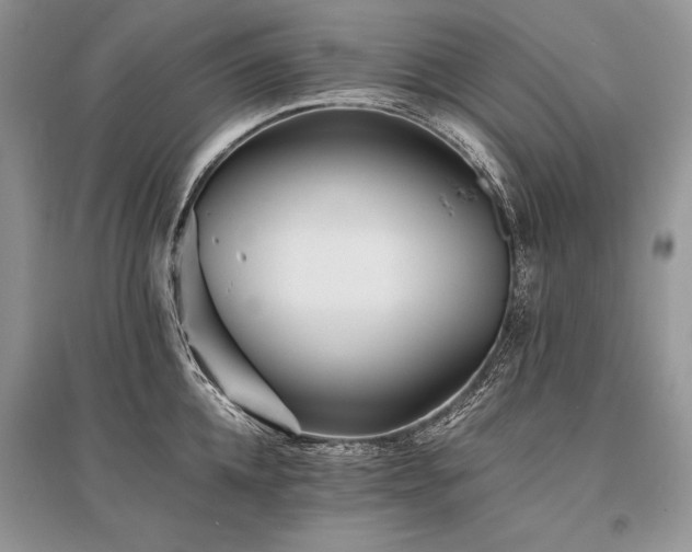 X0000096380952200801241234