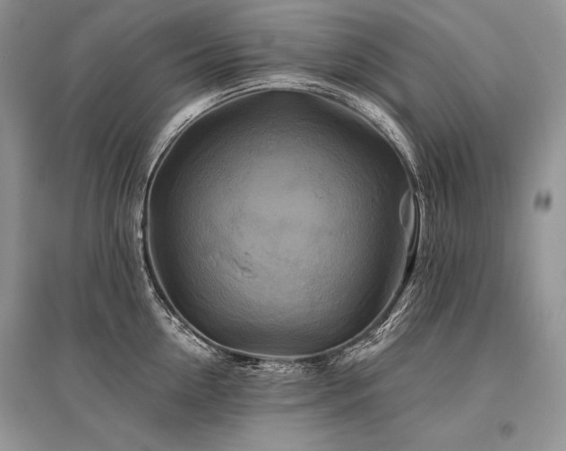 X0000096380954200801241234