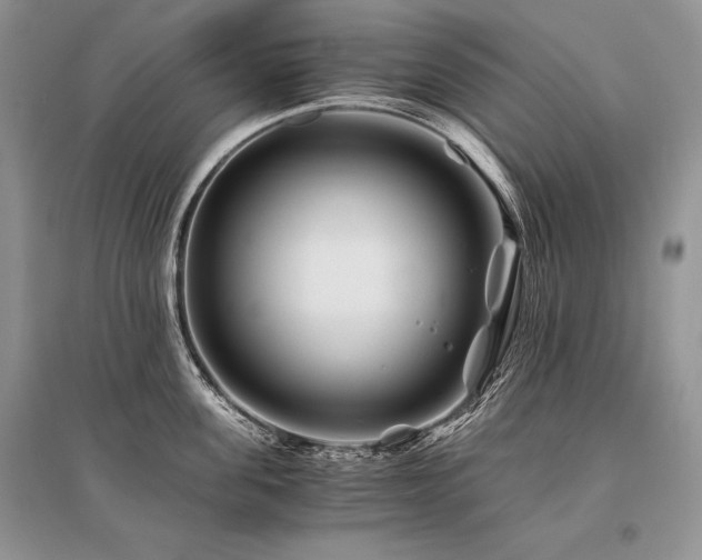 X0000096380955200801241234