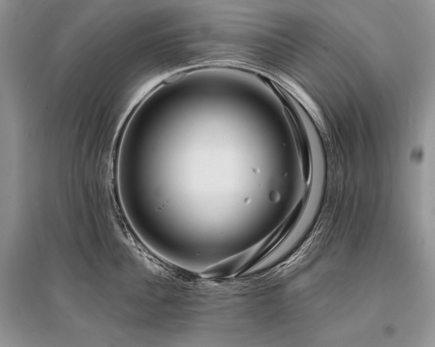X0000096380956200801241234