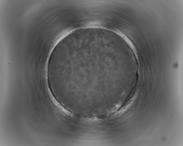X0000096380957200801241234