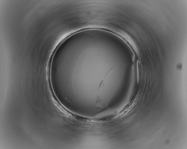 X0000096380958200801241234