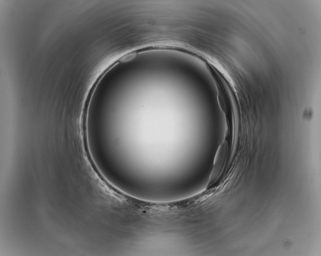 X0000096380959200801241234