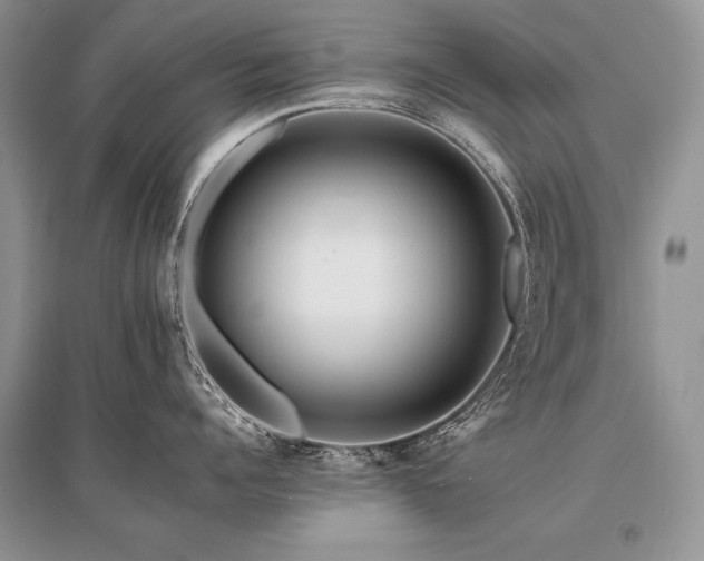 X0000096380960200801241234