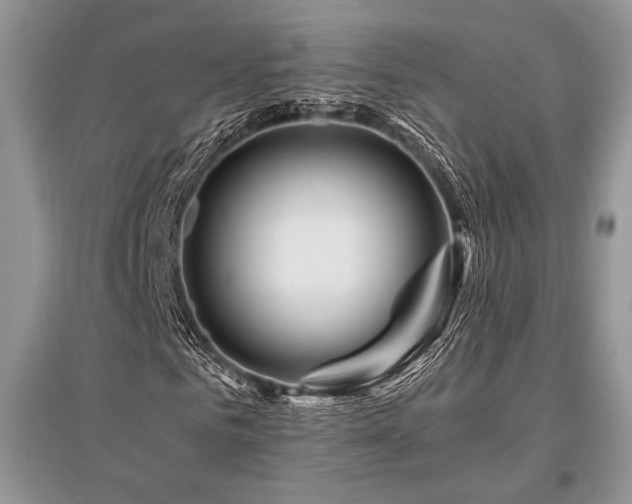 X0000096380961200801241233