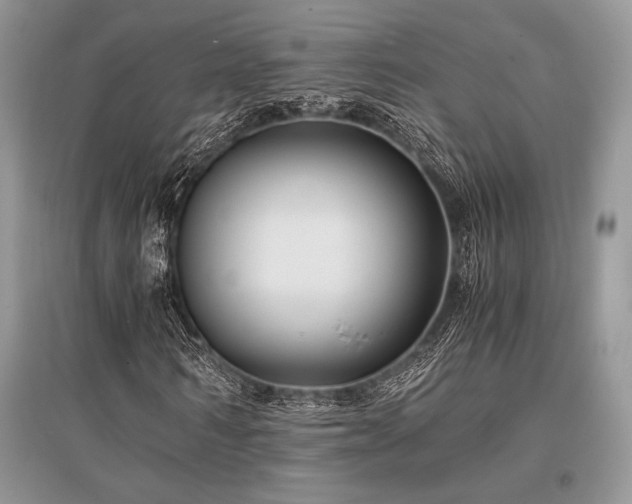 X0000096380962200801241233