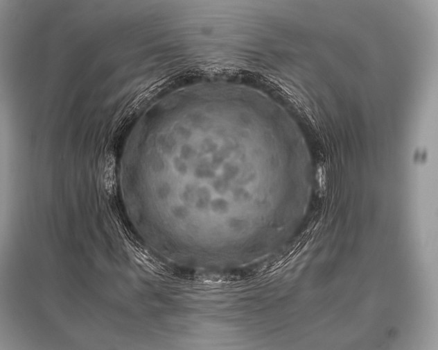 X0000096380963200801241233