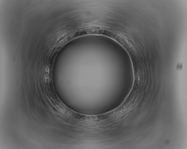 X0000096380964200801241233