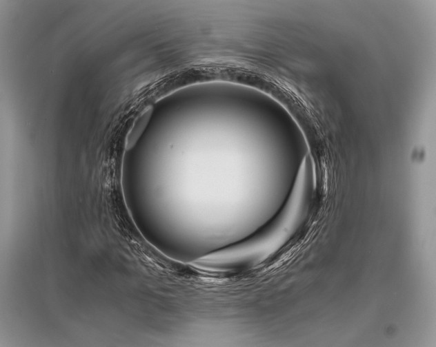 X0000096380965200801241233