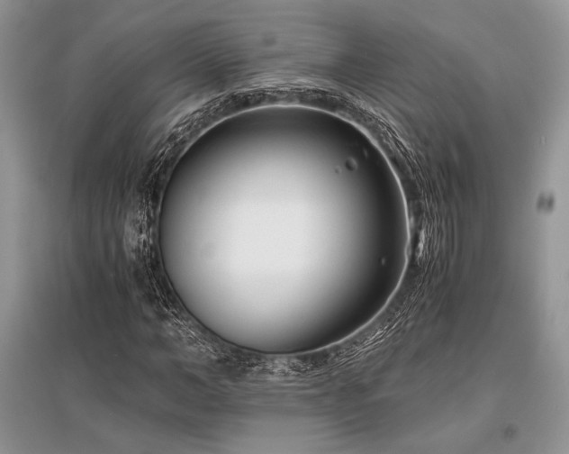 X0000096380966200801241233