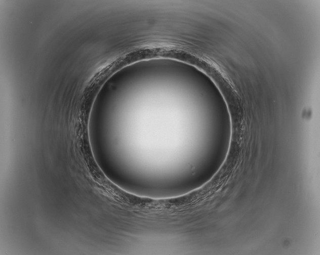 X0000096380967200801241233