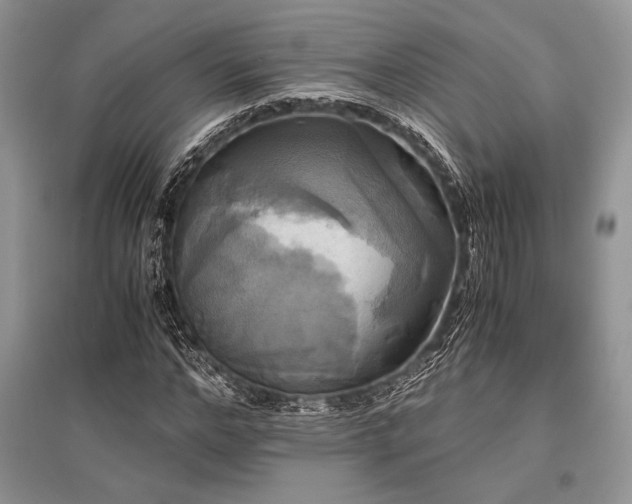 X0000096380968200801241233