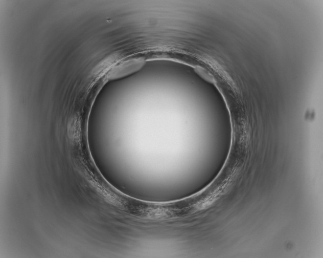 X0000096380969200801241233