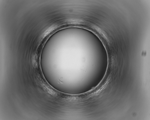 X0000096380970200801241233