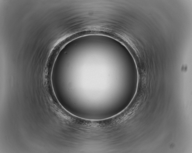 X0000096380971200801241233