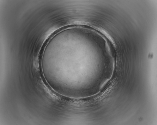 X0000096380972200801241233