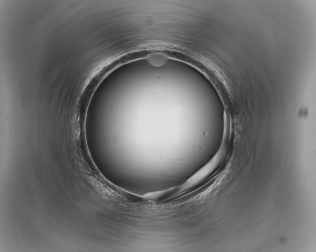 X0000096380973200801241233