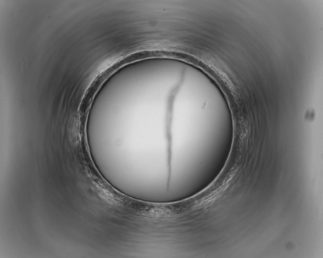 X0000096380974200801241233
