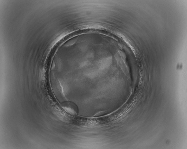 X0000096380975200801241233