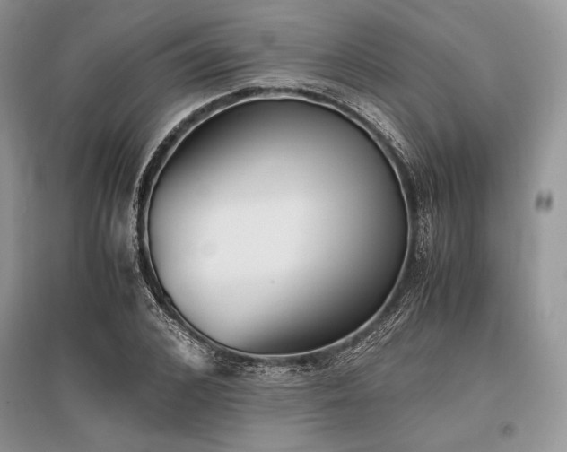 X0000096380976200801241233