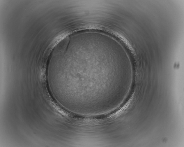 X0000096380977200801241233