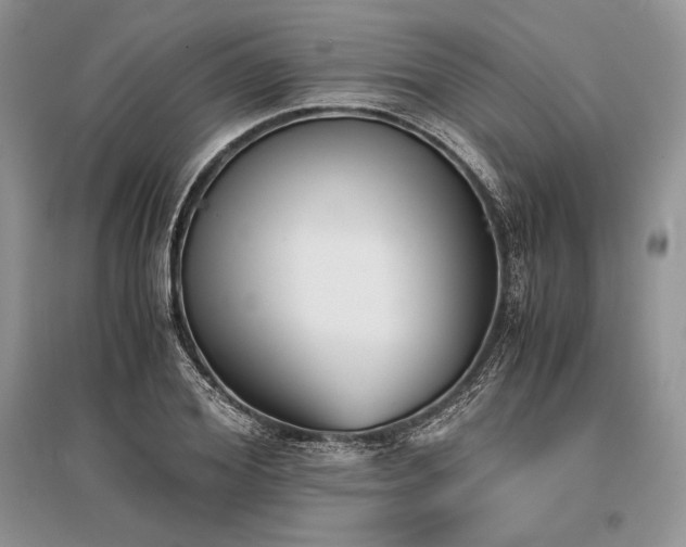X0000096380980200801241233