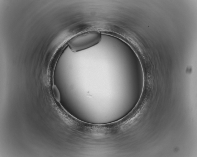 X0000096380981200801241233