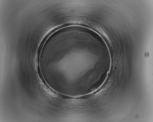 X0000096380984200801241233