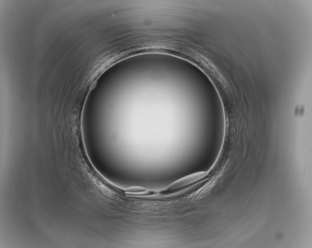 X0000096380985200801241233