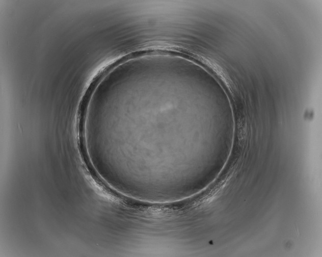 X0000096380987200801241233