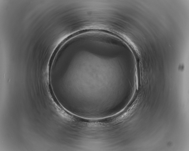 X0000096380988200801241233