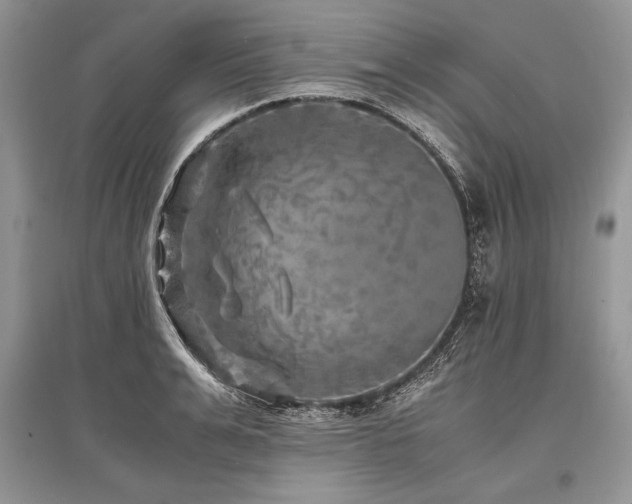 X0000096380991200801241233