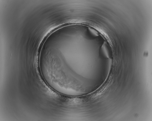 X0000096380992200801241233