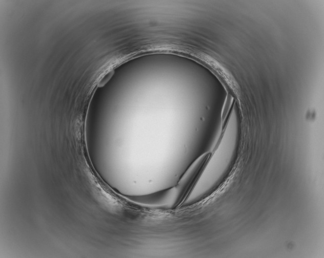 X0000096380993200801241233