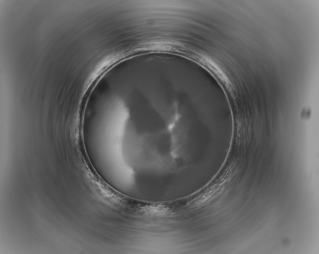 X0000096380994200801241233