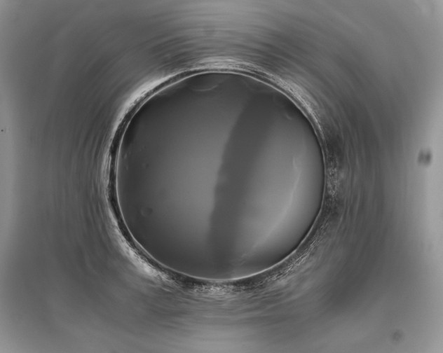 X0000096380995200801241233