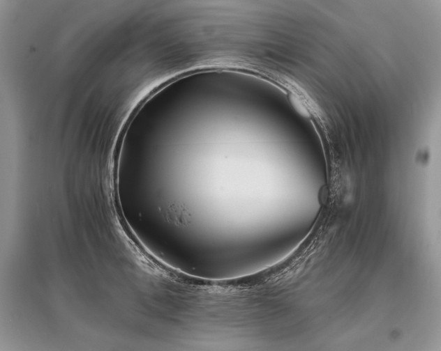 X0000096380996200801241233