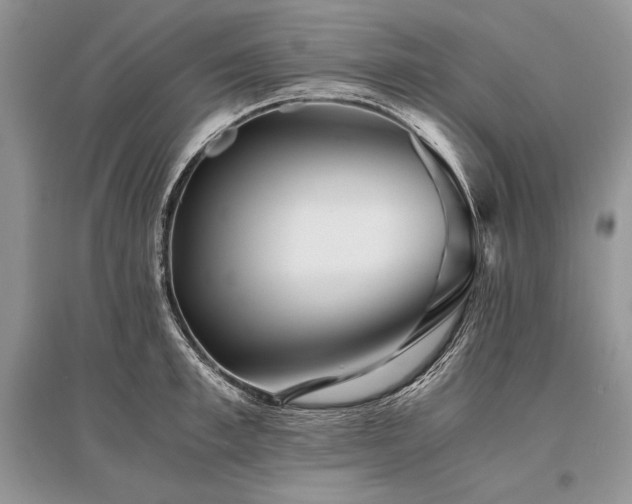X0000096380997200801241233