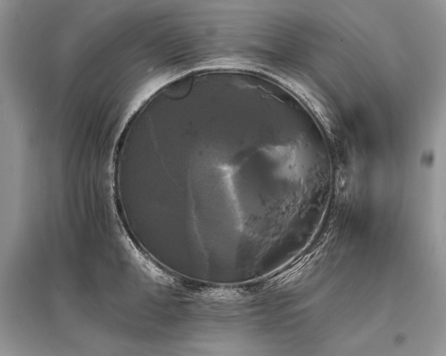 X0000096380998200801241233