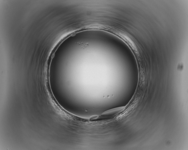 X0000096381000200801241233