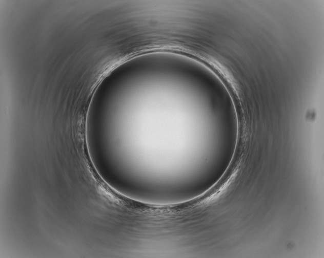 X0000096381001200801241232