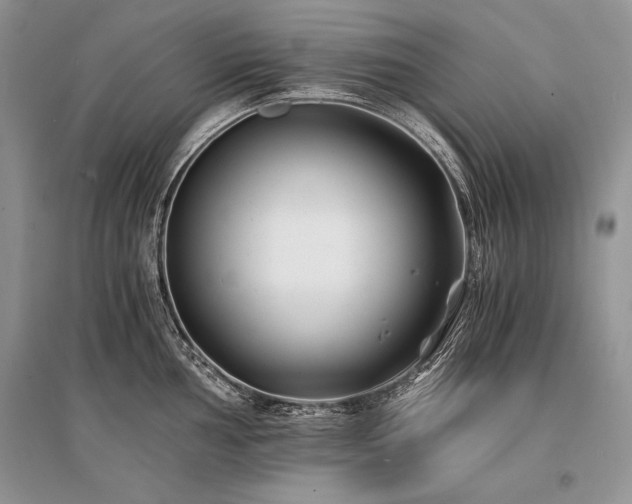 X0000096381002200801241232