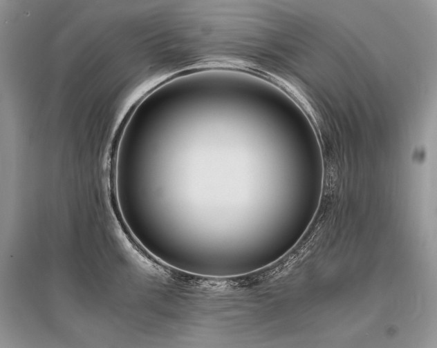 X0000096381003200801241232