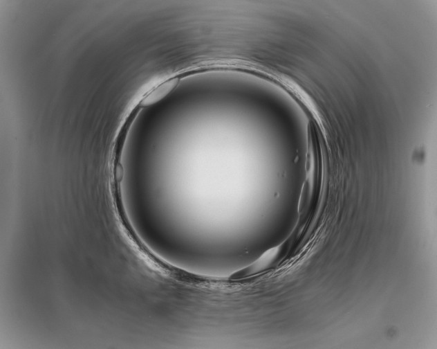 X0000096381005200801241232
