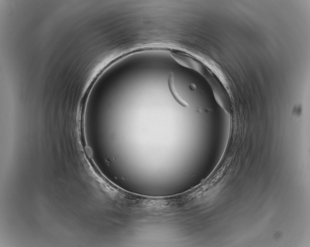 X0000096381006200801241232