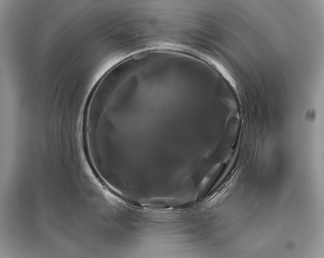 X0000096381007200801241232