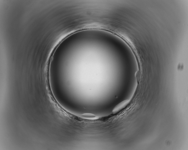 X0000096381008200801241232