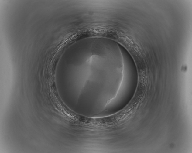 X0000096381009200801241232